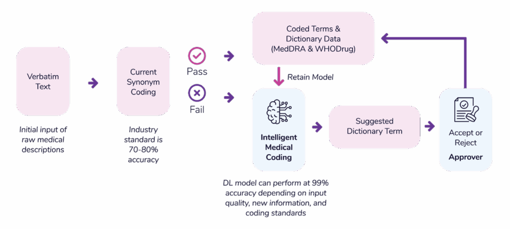 How to Elevate Medical Coding with ML & DL | CluePoints